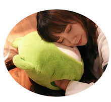 Load image into Gallery viewer, Budding Pop Hug Pillow
